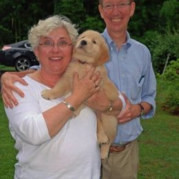 Golden Retriever Puppies from Carova Golden Retrievers