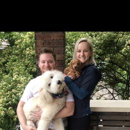 Goldendoodle All Grown Up from Lavender Field Doodles