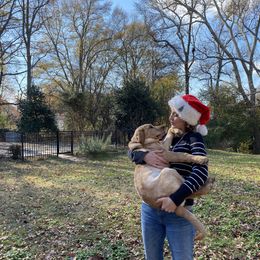 Labrador Retriever Puppies from Spring Water Labs of the Carolinas