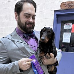 Magic - Dachshund