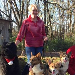 Pembroke Welsh Corgis from Nancy Pearl's Pembroke Welsh Corgis