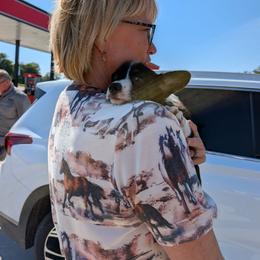 Roz Doyle - Brindle and white female American Corgi puppy in Paden, Oklahoma from Sunray Ranch