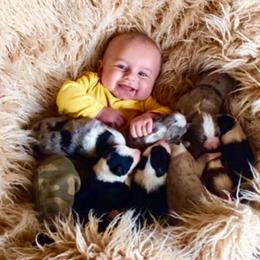 Australian Shepherd Puppies from The K Bar Ranch