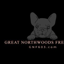 French Bulldogs from Great Northwoods Frenchies