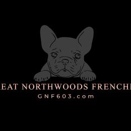 French Bulldogs from Great Northwoods Frenchies