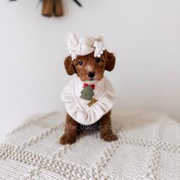 Iconic - RL Christmas - Red  female Goldendoodle puppy in Syracuse, Indiana from The Doodle Cove