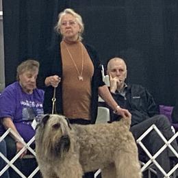 Bouvier des Flandres Puppies from Julie Smith