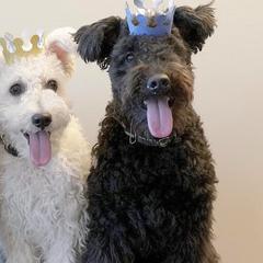 Pumik from Catherine Medina-DeVilliers