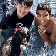 Boykin Spaniel Puppies from Bayhill Boykins