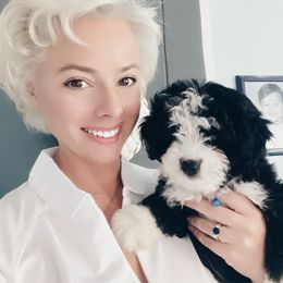 Aussiedoodle and Miniature Australian Shepherd Puppies from Biggie Ranch