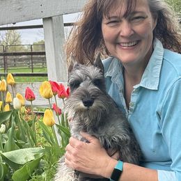 Miniature Schnauzers from Vaquera Miniature Schnauzers