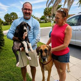 Nova - Mantle female Great Dane puppy in Brooksville, Florida from Follow My Lead Great Danes