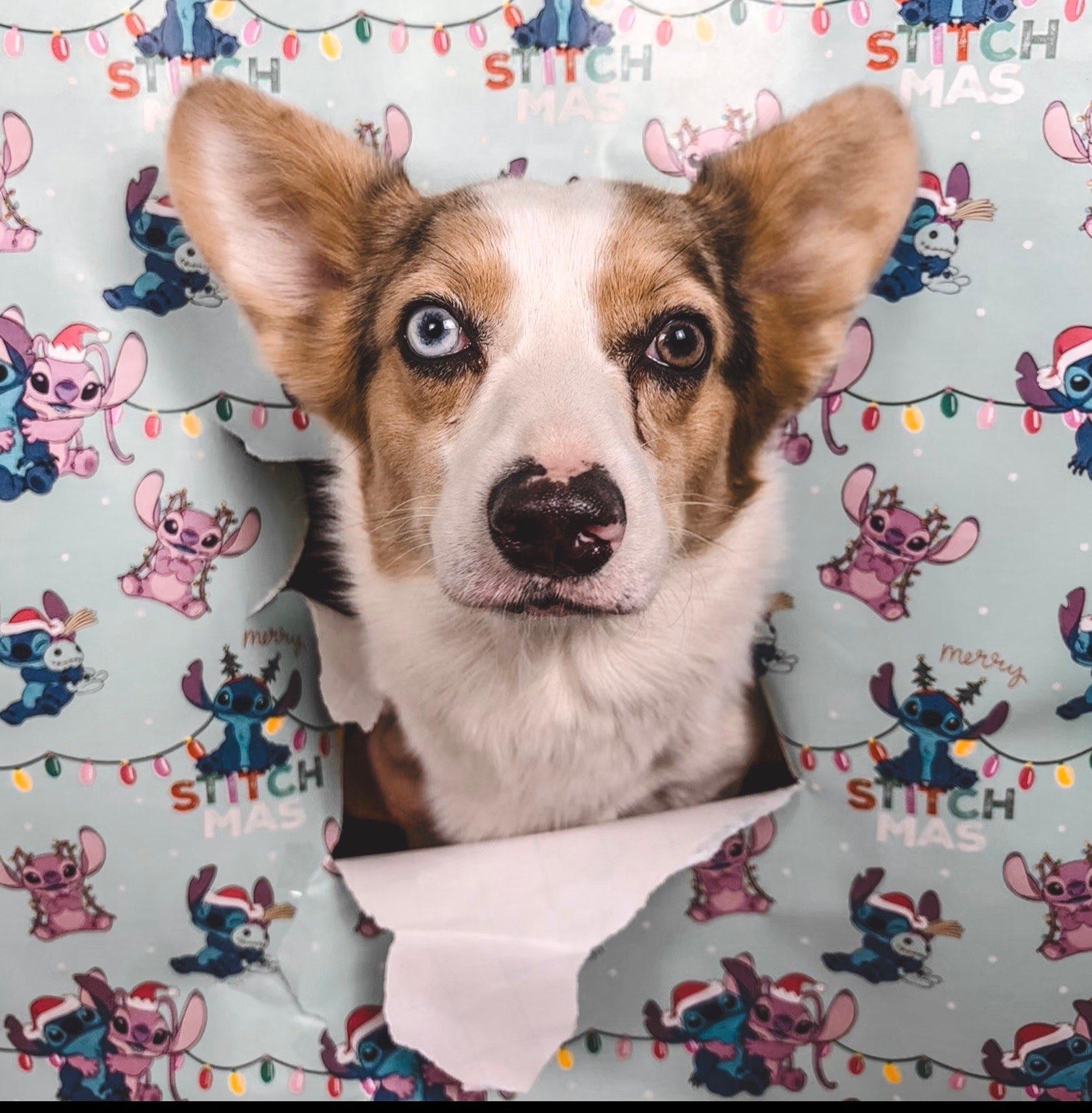Zoe