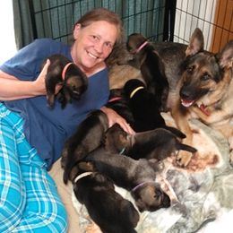 German Shepherd and Irish Wolfhound Puppies from Griffin's Mountain Miniature horses and kennel