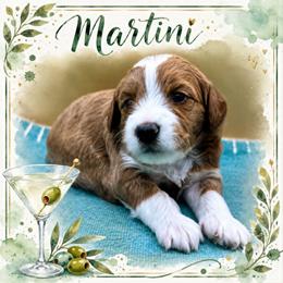 Martini - Red  female Goldendoodle puppy in Hendersonville, North Carolina from Kim's Cove