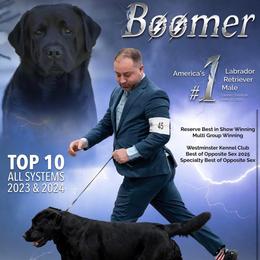 Labrador Retriever Puppies from McCracker Pond Labradors
