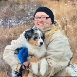 Australian Shepherd Puppies from Cannonrun Aussies