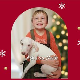 Lua Ash - White and orange male Dalmatian puppy in Conrath, Wisconsin from JSF Dalmatians LLC