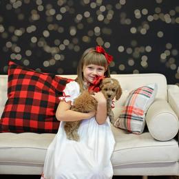 Cockapoo, Cocker Spaniel, and Goldendoodle Puppies from Robbin's Treasures