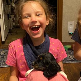 Boots AKC full rights - Black and cream male Dachshund puppy in Elizabethtown, Kentucky from Teeny Tiny Puppy Tails
