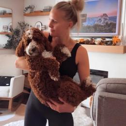 Topper - Goldendoodle