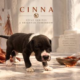 Cinna - Mantle male Great Dane puppy in Montgomery, Texas from KD Sweet Southern Danes