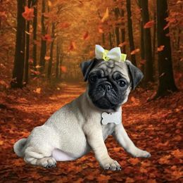 Pug Puppies from Lisa's Pugalicious Pugs