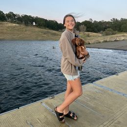 Dachshund Puppies from Ella's Mini Long Haired Dachshunds