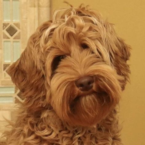 Bentley