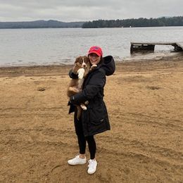 Australian Shepherd Puppies from Discovery Hill Australian Shepherds