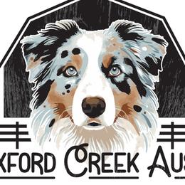 Australian Shepherds from Wexford Creek Aussies, LLC
