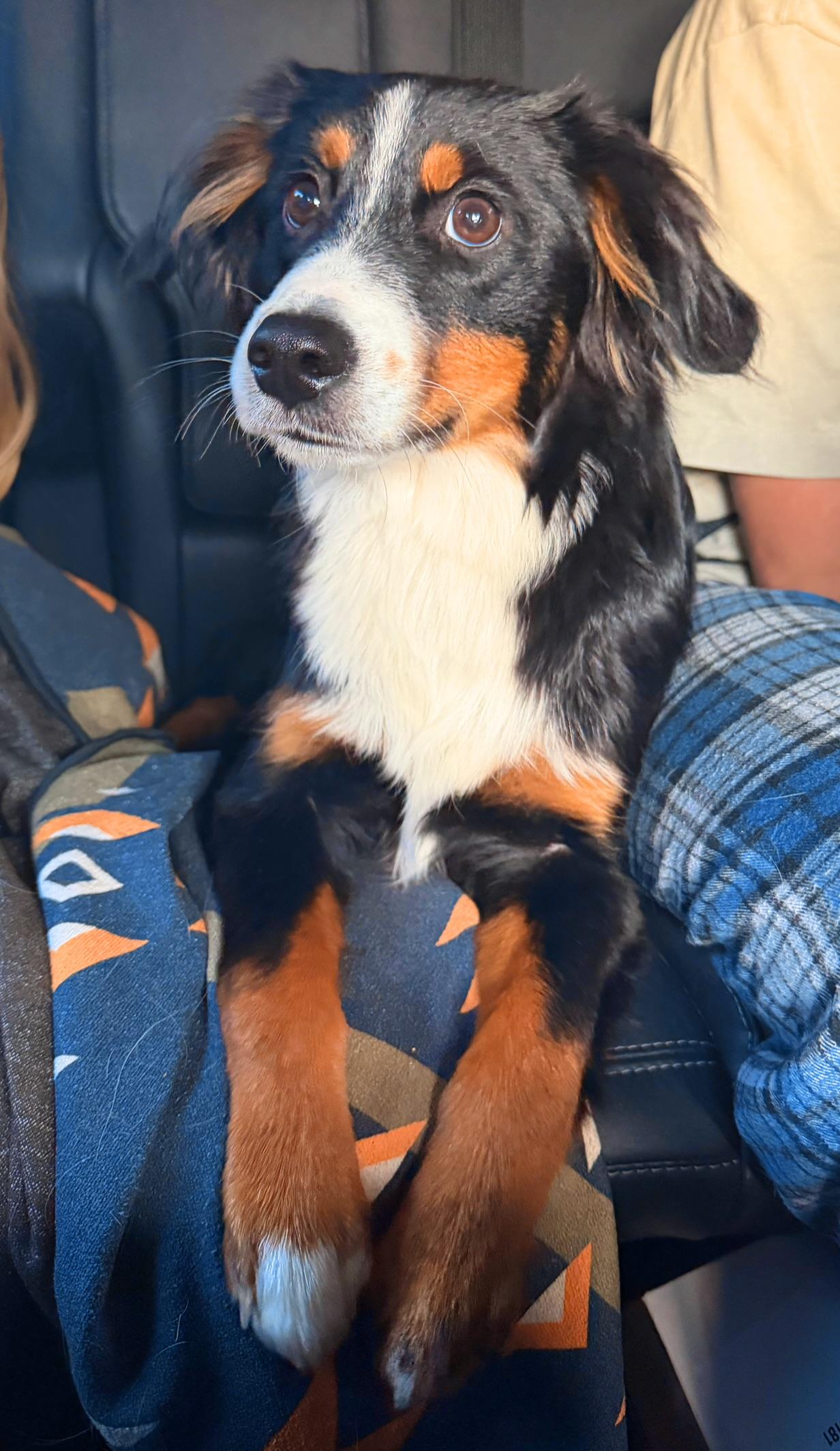 Ranger