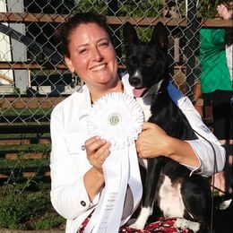 Basenjis from Makindu Basenjis