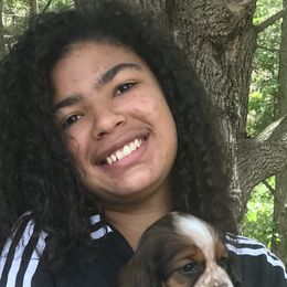 English Springer Spaniel Puppies from River’s Edge ~ English Springer Spaniels