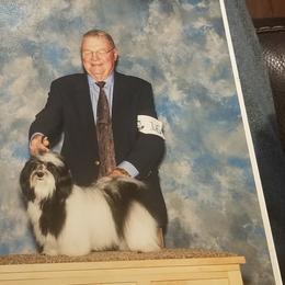 Havanese from Shadybrook Havanese