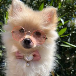Valencia - Cream female Pomeranian puppy in Los Angeles, Santa Clarita, California from LT_Poms