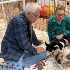 Bordoodle Puppies from Borders of Eby Eden