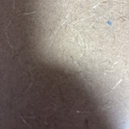 Black tri - Black tri-color female Australian Shepherd puppy in Loganville, Georgia from Howell Aussies