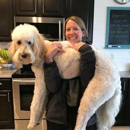Goldendoodles and Poodles from MuchAdoodle.com