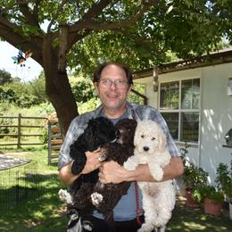 Spanish Water Dog Puppies from Kennel Rio Columbia