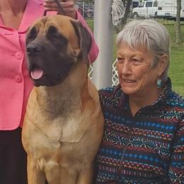 Mastiffs from Deborah's Mastiffs