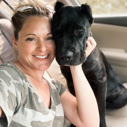 Boxer and Cane Corso Puppies from Soaring Royalty Canines LLC