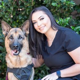 German Shepherd All Grown Up from Angel Oak German Shepherds