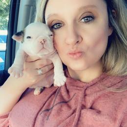 Bulldog and French Bulldog Puppies from The Georgia Bully Bunch