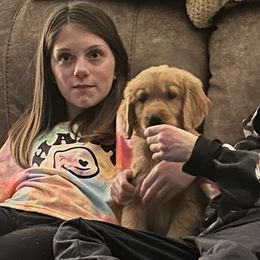 Golden Retriever Puppies from Ginn’s Golden Retrievers