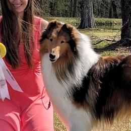 Heart - Collie
