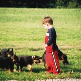 German Shepherd Puppies from Select Shepherds