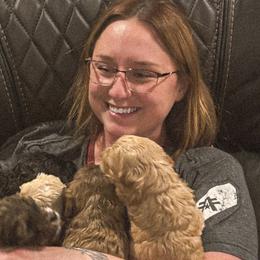 Poodles from Strawberry Hill Puppy Patch