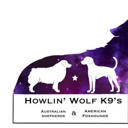 Australian Shepherds from Howlin' Wolf K9's