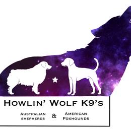 Australian Shepherds from Howlin' Wolf K9's